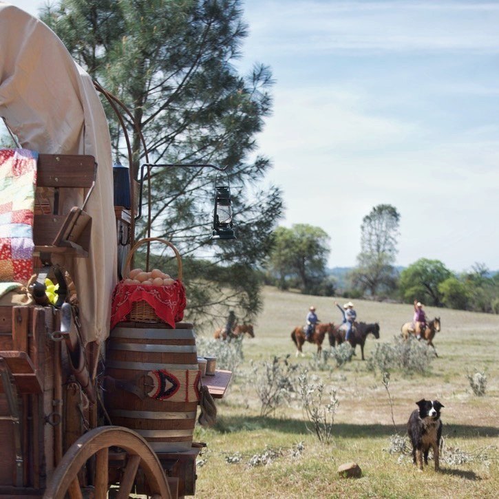 V6 Ranch California Central Coast Dude Ranch Guest Ranch Cattle Drives Cowboy School Large Groups